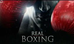 real-boxing